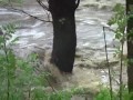 powódz bielsko, wielka woda, deszcze deszcz wilkowice, wilkówka